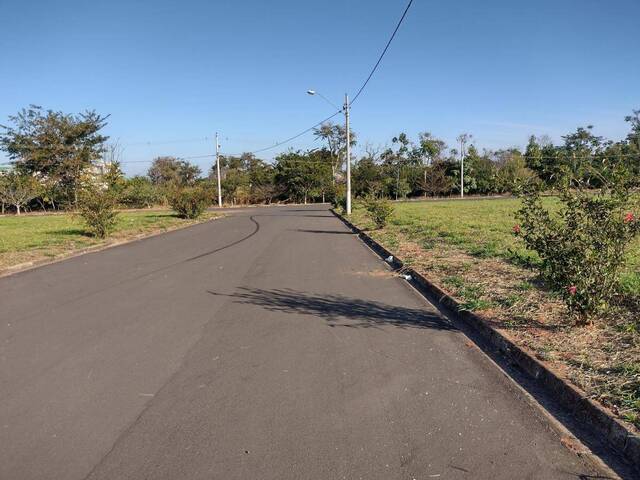 #tr250mur - Terreno para Venda em Mogi Mirim - SP
